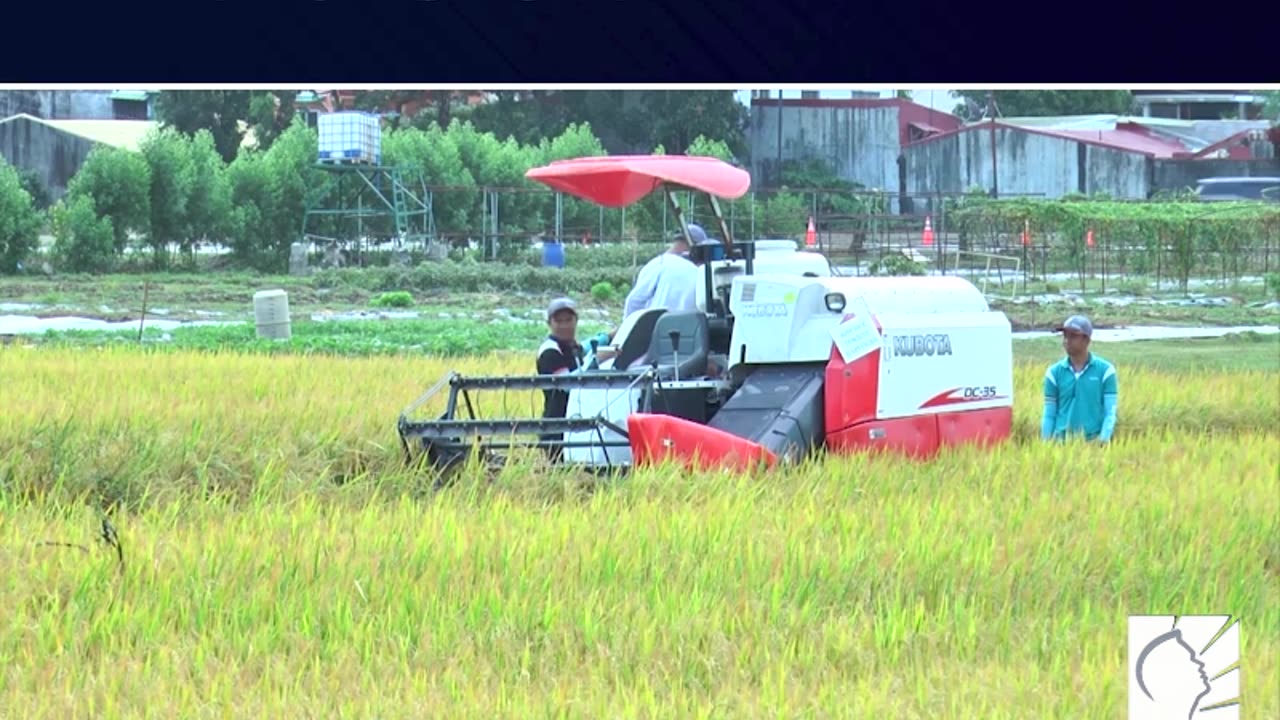 Importasyon, hindi pangmatagalang solusyon sa kakulangan ng suply ng agri product —PCAFI