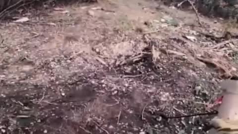 Footage of Ukraine's use of Switchblade 300 loitering munition against a Russian military position