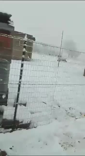 God's Judgement 2 South Africa. Foreigners being arrested