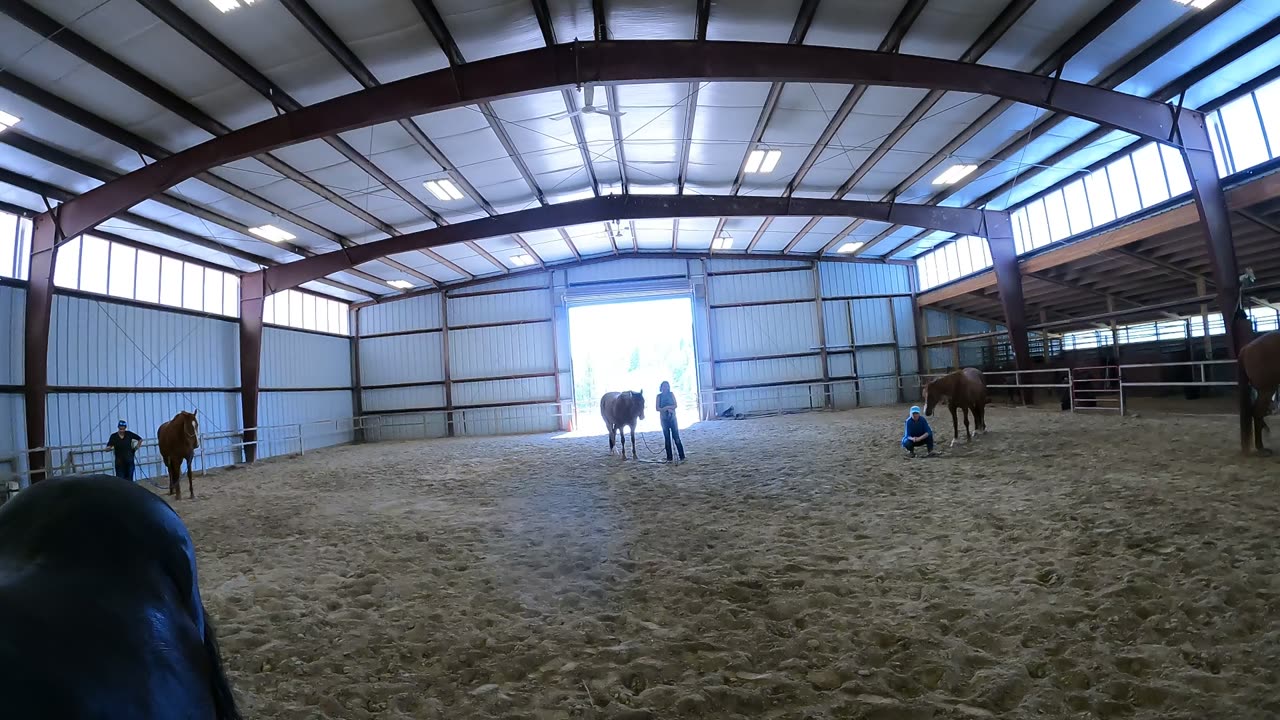 Farrah Horsemanship Clinic # 4