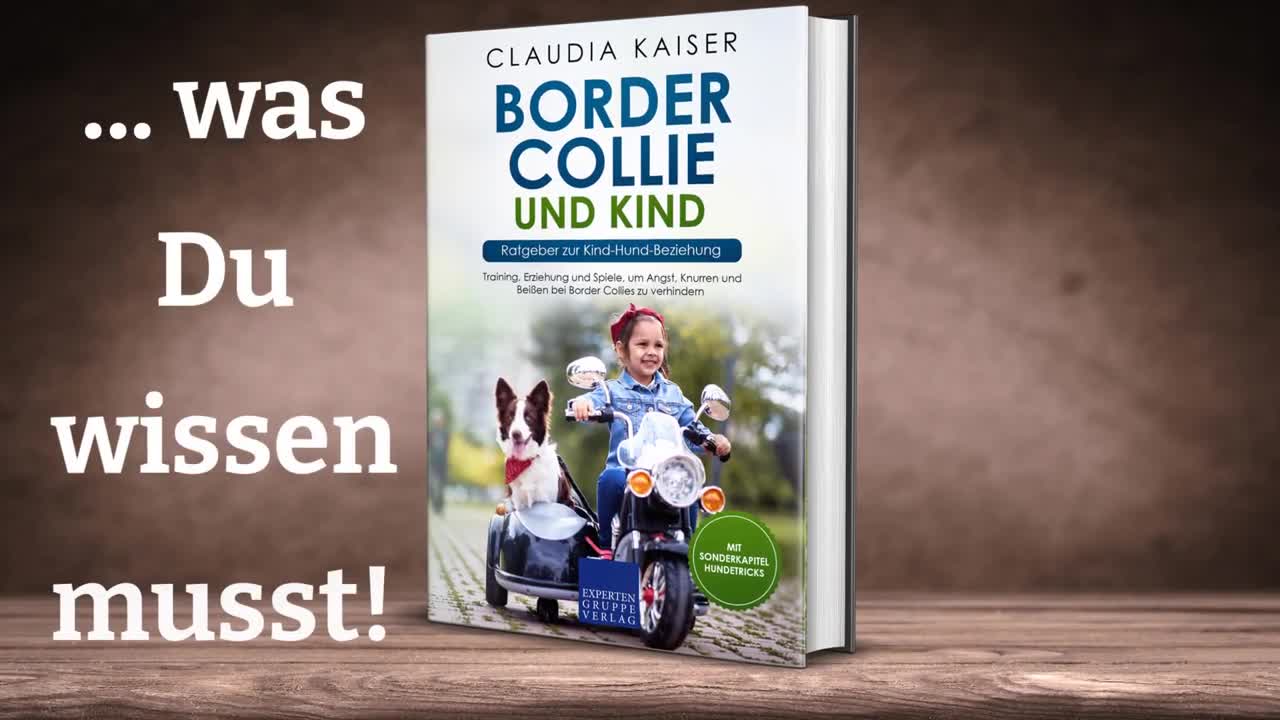 Border Collie und Kind - Ratgeber zur Kind-Hund-Beziehung - Claudia Kaiser