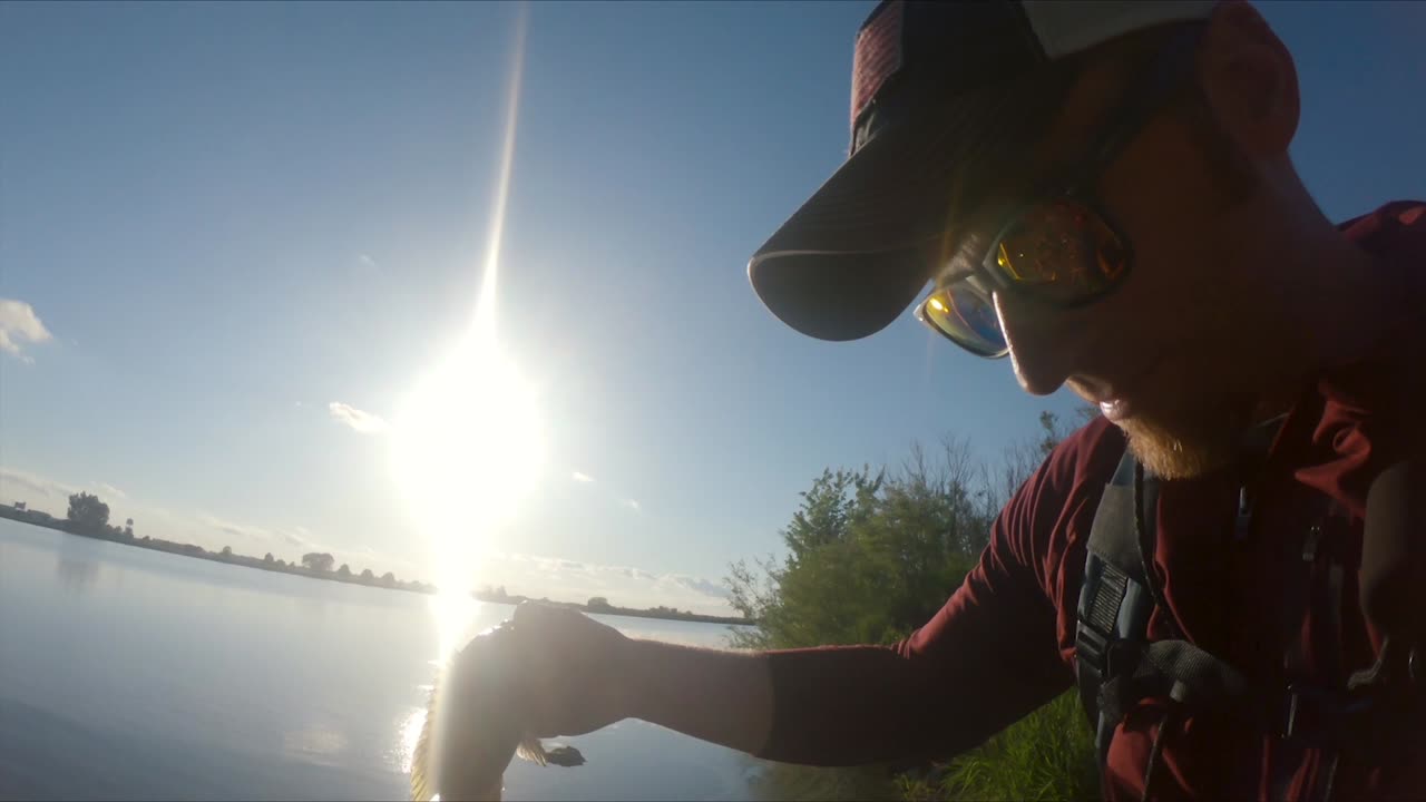 Micro-Swimbait PB Green Sunfish - Kalin's Crappie Scrub