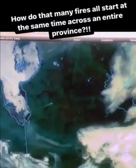 dont Forget wildfires lies