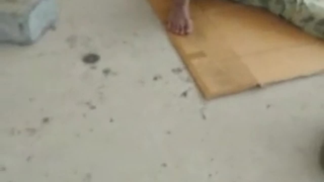 don't care about the place , when you are physically and mentally tired, even on cardboard