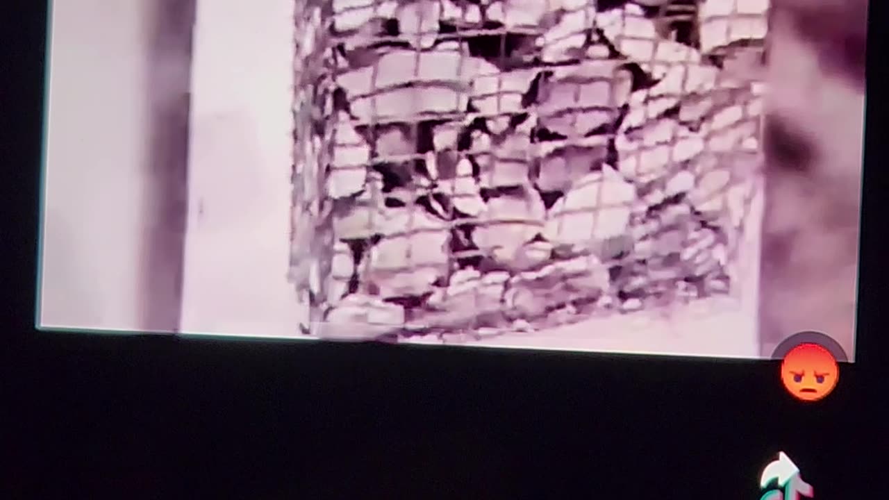 BLM Protests: Why were pallets of bricks well placed?