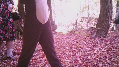 trail cam 3