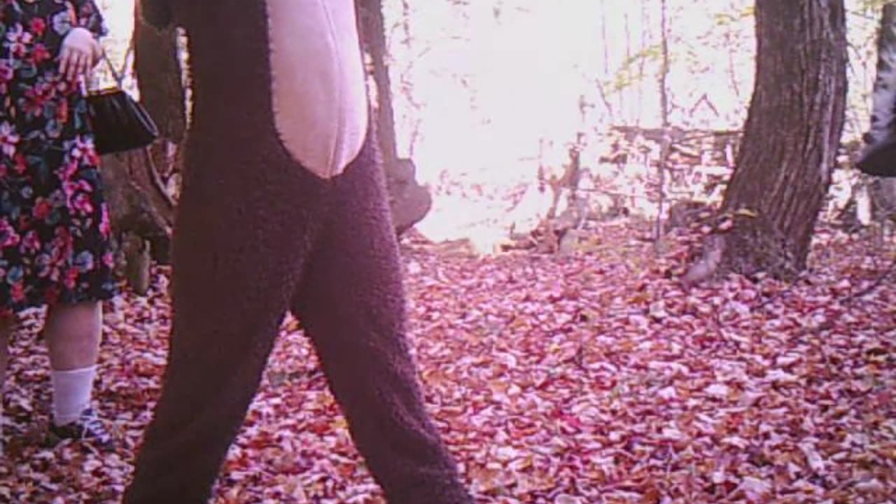 trail cam 3