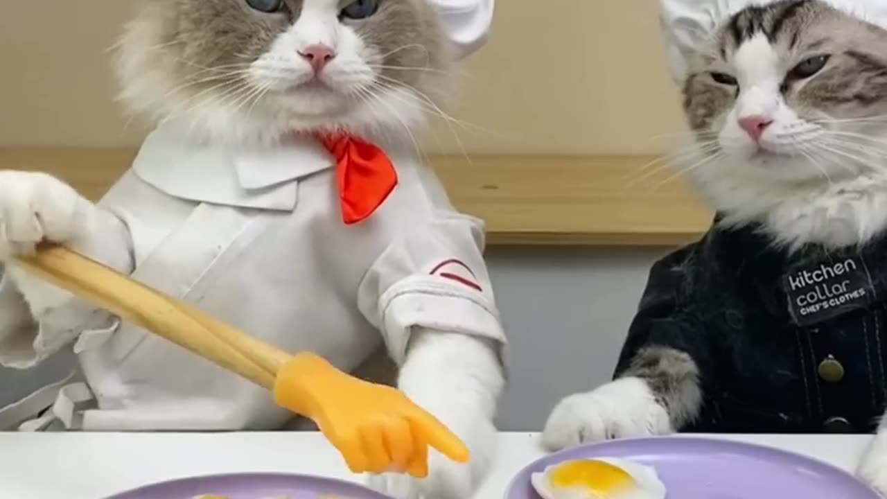 If making eggs is a competition 😂😂