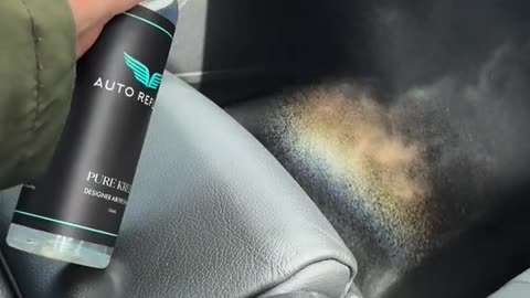 The BEST car air fresheners