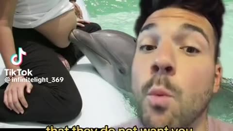 Dolphin Assisted Births