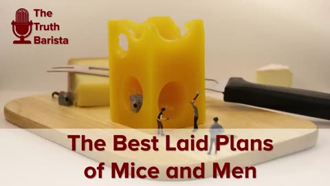 The Best Laid Plans of Mice and Men