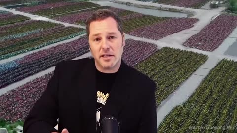 What will they do with all those EV's?