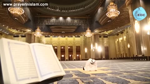 How to Pray? Step by Step Guide to Prayer | Mohammad AlNaqwi