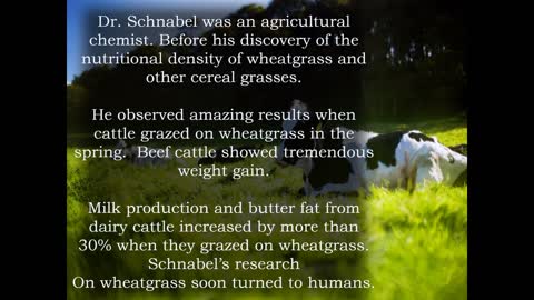 Dr Charles Schnabel the Father of the Modern Day Wheatgrass Miracle