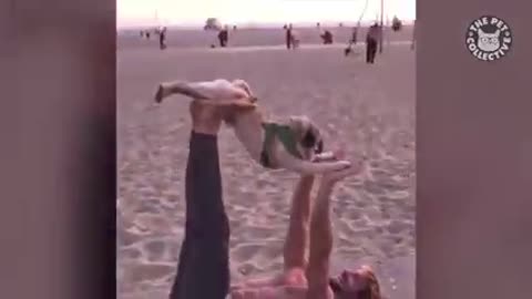 Pug yoga