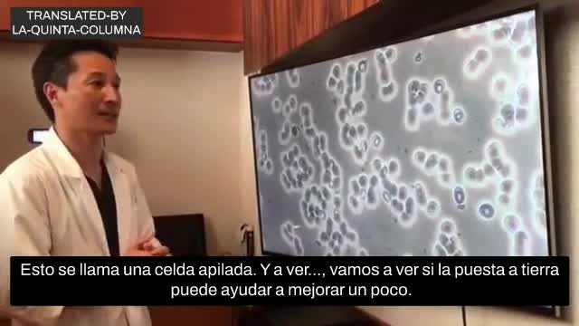 Toma de tierra para descargar la irradiacón ambiental que recibimos (antenas, wifi, etc)