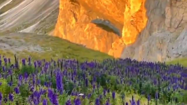 The mountains under the sunset
