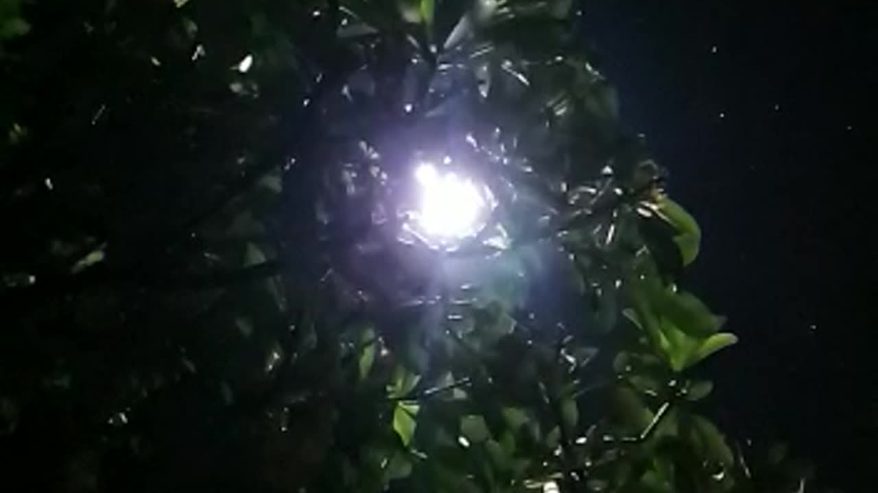 Rain drops from sky in the night