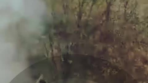 New Combat Footage from Omega Group