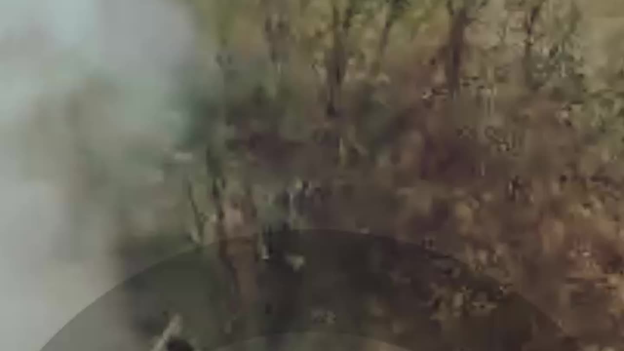 New Combat Footage from Omega Group