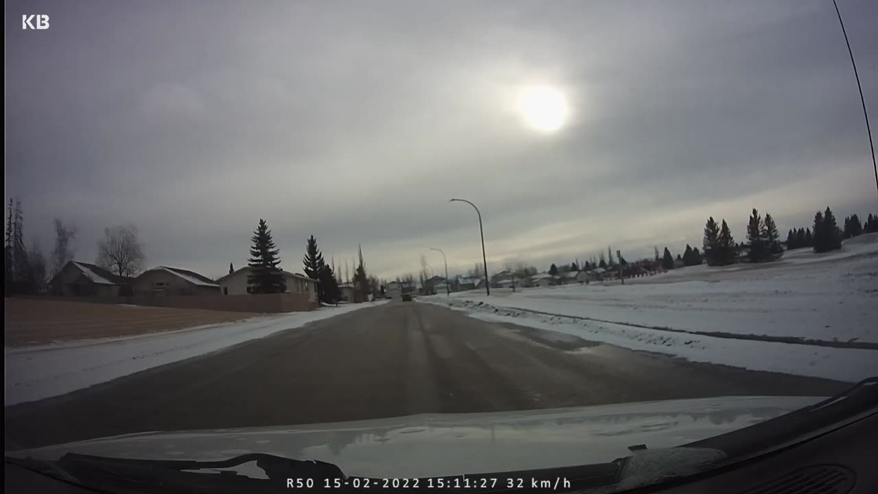 Red deer driving