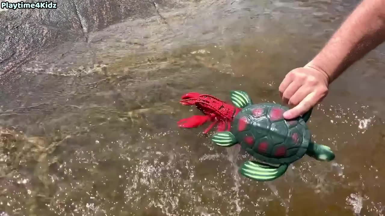 Sea Animal Toys this summer at the shore