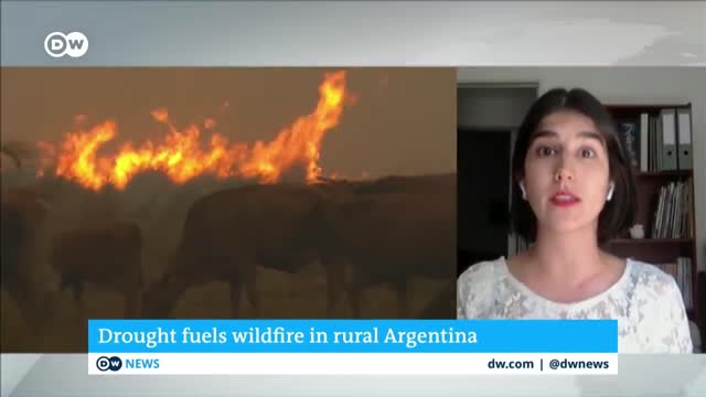 Firefighters in northern Argentina are struggling to contain massive wildfires | DW News