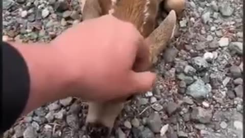 心が暖かくなる話し。😍😭