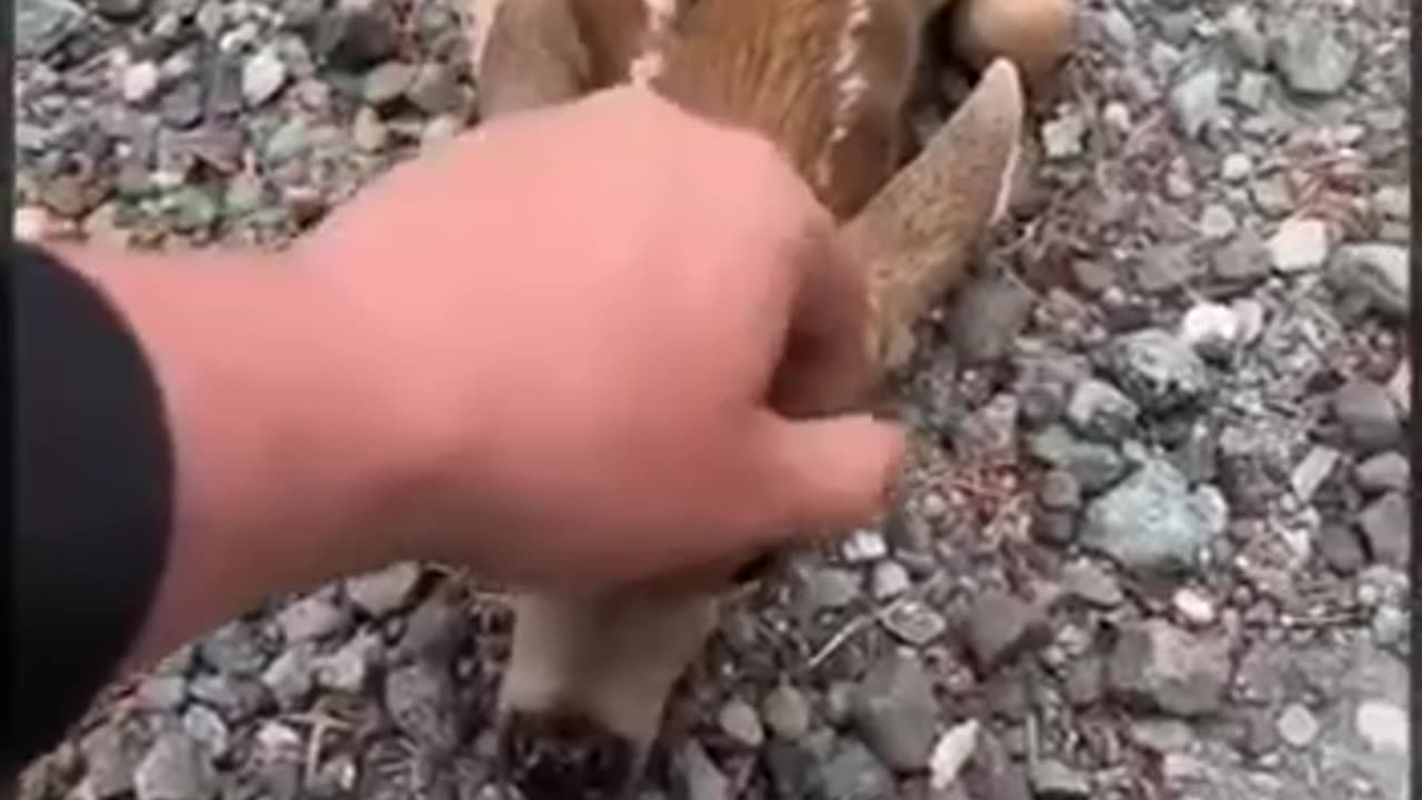 心が暖かくなる話し。😍😭