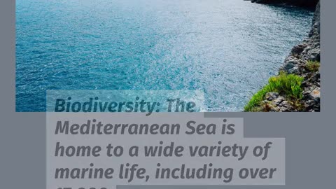 Special about the Mediterranean Sea