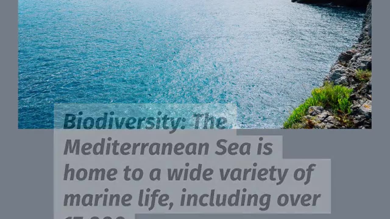Special about the Mediterranean Sea