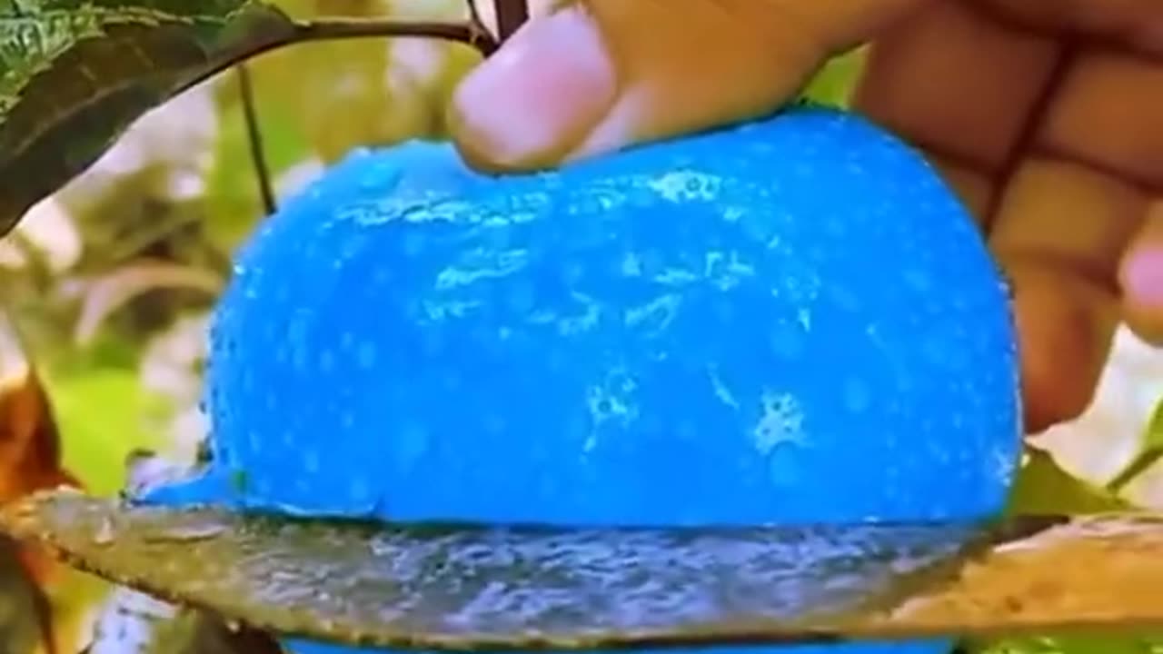 Best video best video best ever trending video