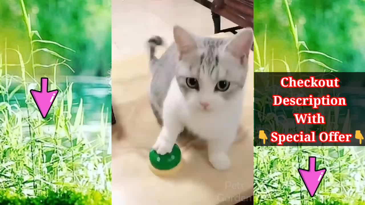 Baby cats 🐱 cute And funny cats videos complication🐈