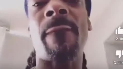 Useless puppet celebs - No Snoop, Go F*ck Yourself