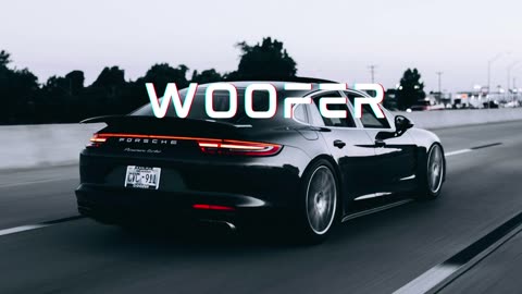 Woofer Punjabi Song