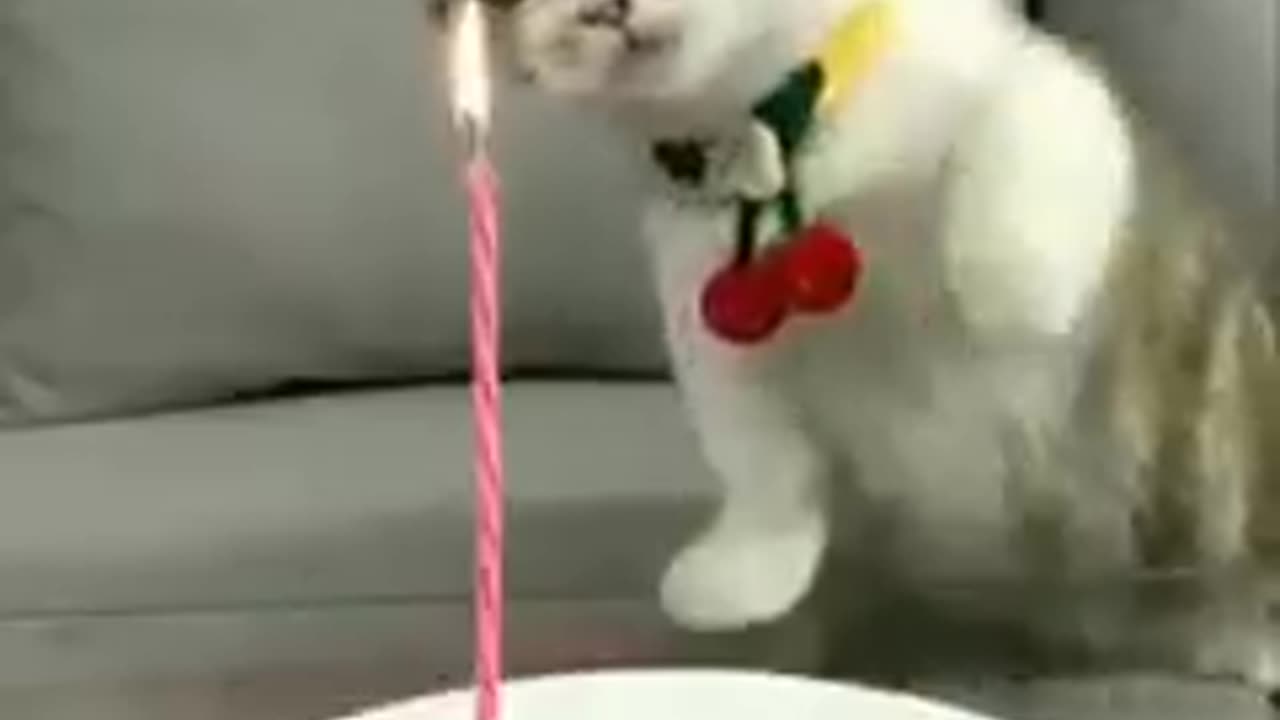 Best movie for kids