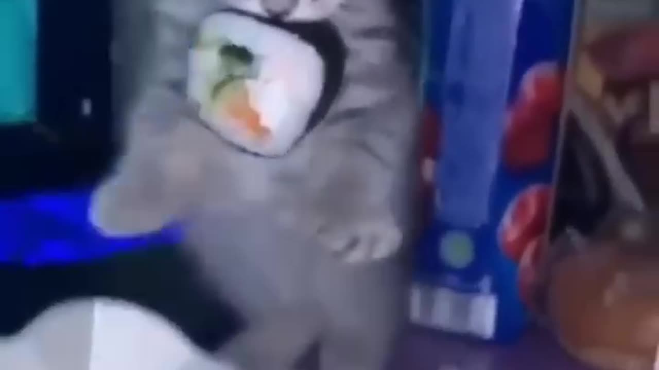 Funny animals 2023π - Funniest Cats and Dogs Videoππ284 #shorts