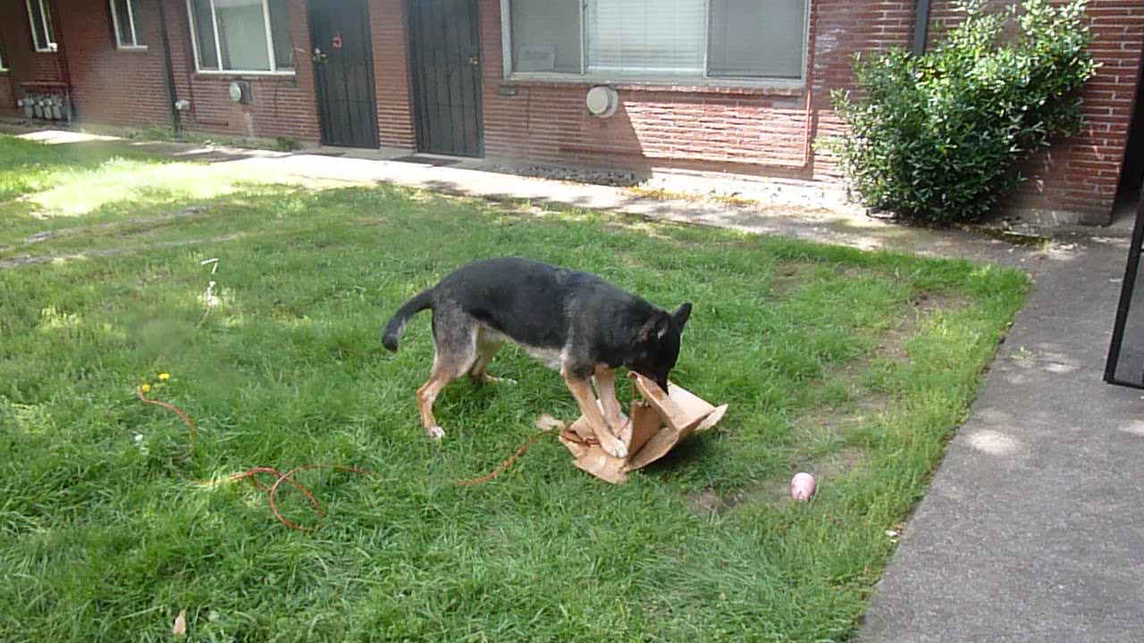 Fiona unwraping box part 2