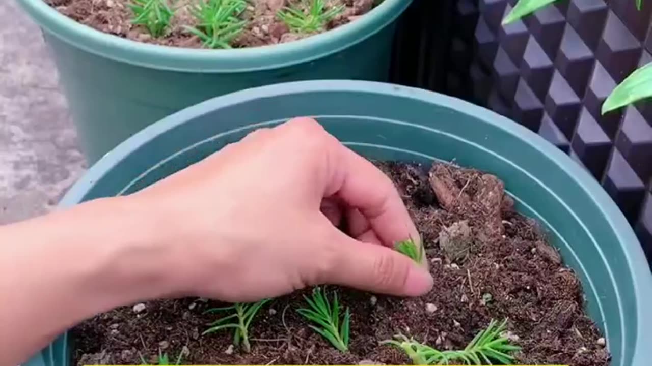 Follow us for more such Gardening and Woodworking Tips | Check Description 👇💚