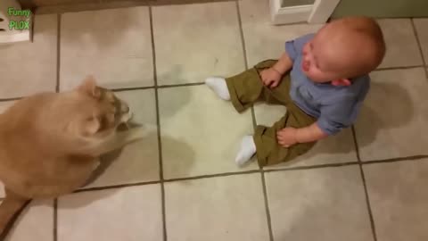 Baby and cats fanny videos.