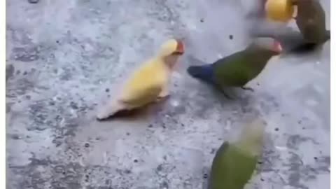 Hilarious isn't it?