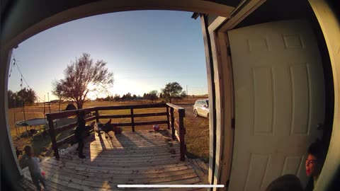 Four Kids Versus Wild Turkey