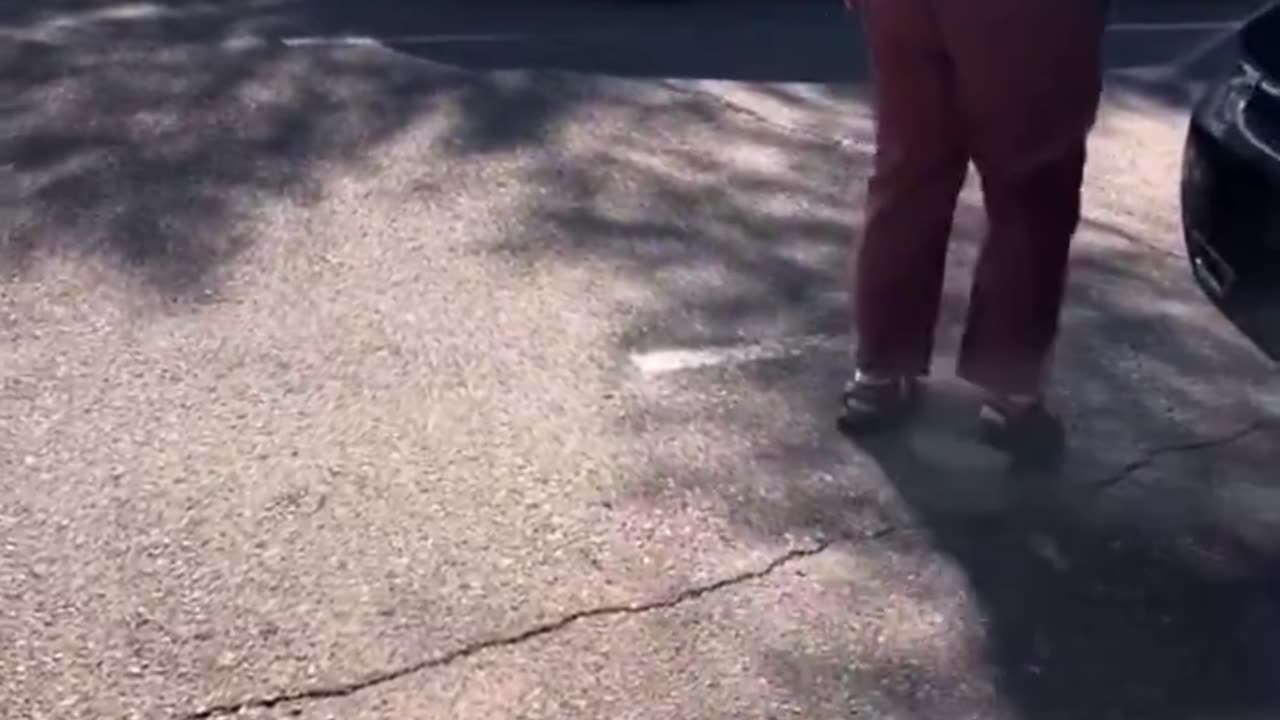 Karen has heated argument after trying to remove a Trump flag off a man’s