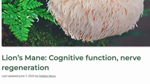 Lion's Mane: Neuroprotective