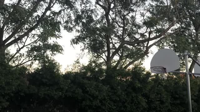 Kid Kicks a Soccer Ball into a Basketball Hoop