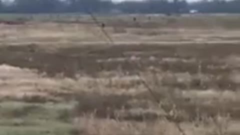 Russian Su 25 emergency landing