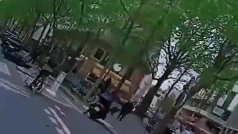 Fake Afghan asylum seekers destroy Paris.
