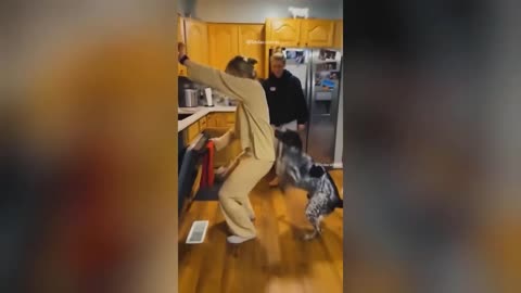 Funny video