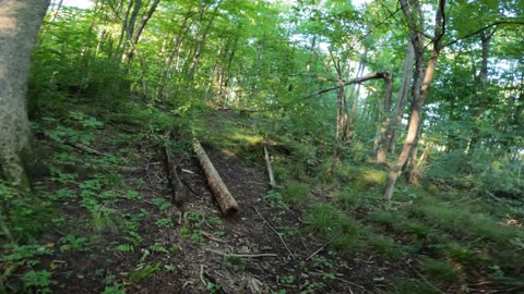 🌴 Welcome To Sarsaparilla Trails Part 2 In Ottawa 🍁 Canada 🌊 Summer Edition ☀️