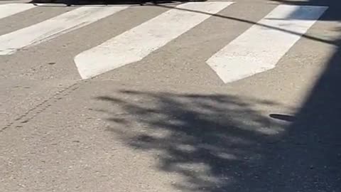Travel in a modified car